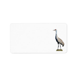 Sandhill Crane Foto Rücksendeadresse Adressaufkleber