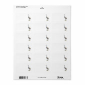 Sandhill Crane Foto Rücksendeadresse Adressaufkleber (Vorne)