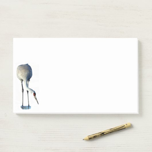 Sandhill Crane Foto Stationery 10x6 Hinweise Post-it Klebezettel (Auf Schreibtisch)