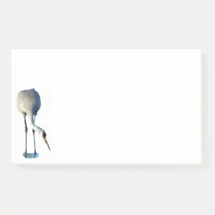Sandhill Crane Foto Stationery 10x6 Hinweise Post-it Klebezettel