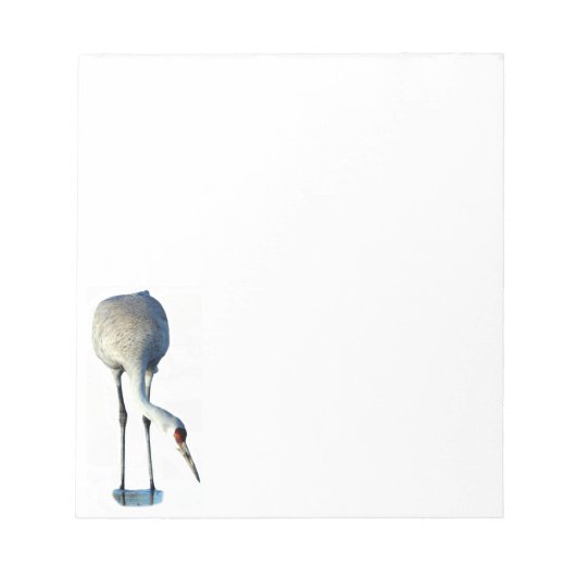 Sandhill Crane Foto Stationery Notepad Notizblock (Vorderseite)