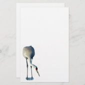 Sandhill Crane Foto Stationery Paper Briefpapier (Vorne/Hinten)