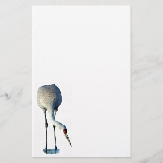 Sandhill Crane Foto Stationery Paper Briefpapier (Vorderseite)