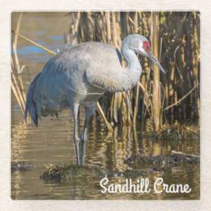 Sandhill Crane Glasuntersetzer