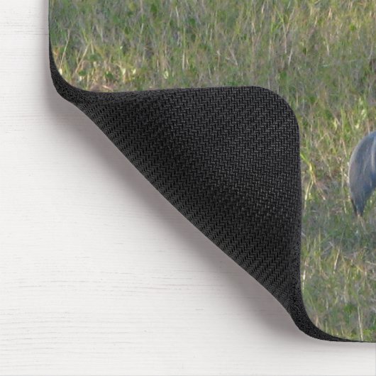 Sandhill Crane Grazing Foto Mousepad (Ecke)