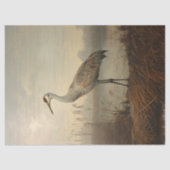 Sandhill Crane im Marsch-Dekoupage Seidenpapier (Vorderseite)