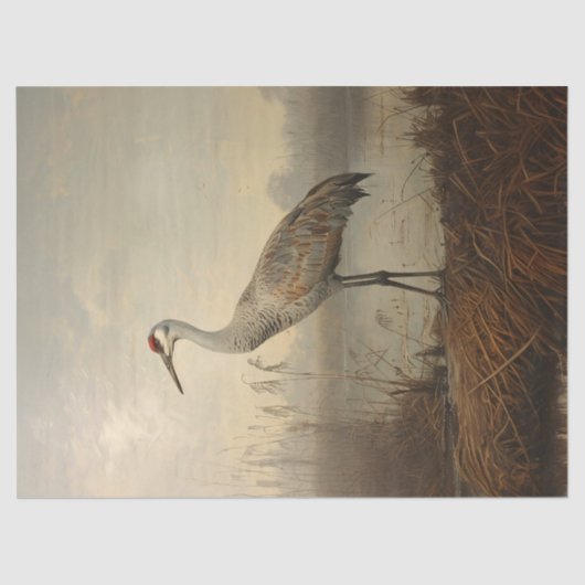 Sandhill Crane im Marsch-Dekoupage Seidenpapier (Vorderseite)
