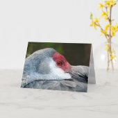 Sandhill Crane Karte (Gelbe Blume)