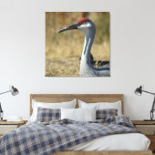 Sandhill Crane Leinwanddruck (Insitu (Schlafzimmer))