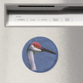 Sandhill Crane Lovely Lady Magnet (In Situ (Geschirrspüler))