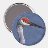Sandhill Crane Lovely Lady Magnet (Vorderseite/Rückseite)