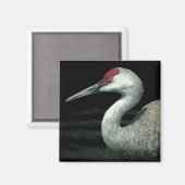 Sandhill Crane Magnet - "Grassland Grace" (Vorderseite/Rückseite)