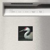 Sandhill Crane Magnet - "Grassland Grace" (In Situ (Geschirrspüler))