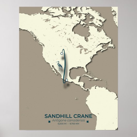 Sandhill Crane Migration Map - Minimalistisch Vint Poster (Vorne)