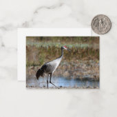 Sandhill Crane Mitteilungskarte (Vorderseite/Rückseite Beispiel)