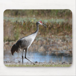 Sandhill Crane Mousepad