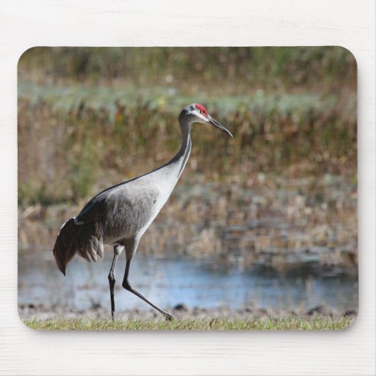 Sandhill Crane Mousepad (Vorne)