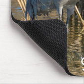 Sandhill Crane Mousepad (Ecke)