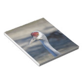 Sandhill Crane Notizblock (angewinkelt)