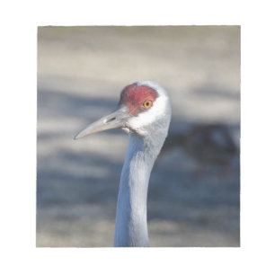 Sandhill Crane Notizblock