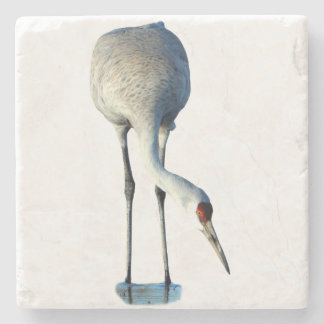 Sandhill Crane Photo Stone Coaster Steinuntersetzer