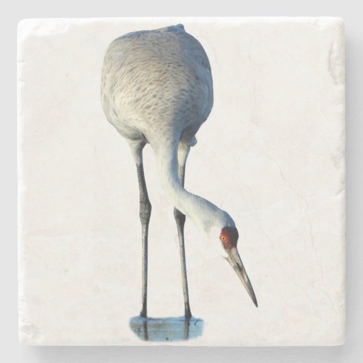 Sandhill Crane Photo Stone Coaster Steinuntersetzer (Vorderseite)