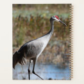 Sandhill Crane Planer (Rückseite)