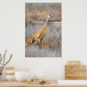 Sandhill Crane Poster (Küche)