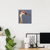 Sandhill Crane Poster (Heimbüro)