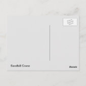 Sandhill Crane Postkarte (Rückseite)