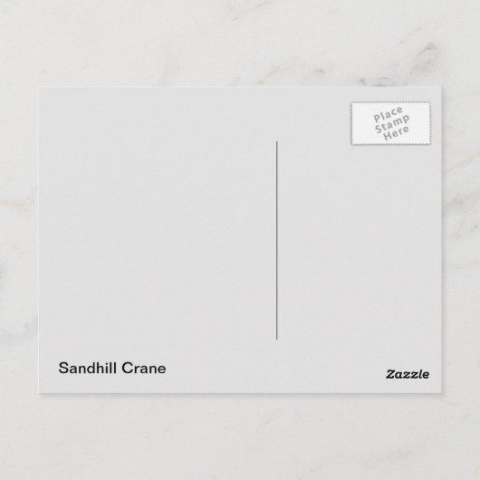 Sandhill Crane Postkarte (Rückseite)