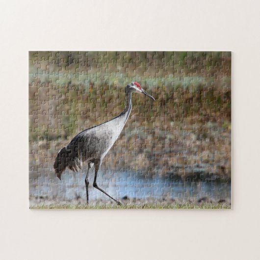 Sandhill Crane Puzzle (Horizontal)
