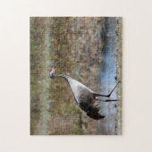 Sandhill Crane Puzzle (Vertikal)