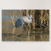 Sandhill Crane Puzzle (Horizontal)
