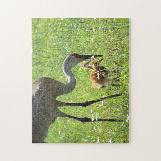 Sandhill Crane und Colts Puzzle (Vertikal)