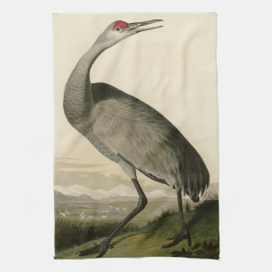 Sandhill Crane von Audubons Vögeln von Amerika Geschirrtuch