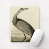 Sandhill Crane von Audubons Vögeln von Amerika Mousepad (Mit Mouse)