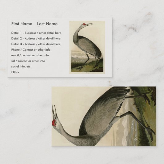 Sandhill Crane von Audubons Vögeln von Amerika Visitenkarte (Vorne/Hinten)