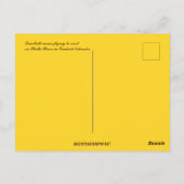 Sandhill Cranes auf der Platte auf der Central Neb Postkarte (Rückseite)