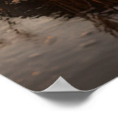 Sandhill Cranes bei Dawn Poster (Ecke)