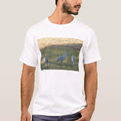 Sandhill Cranes Birds Foto T-Shirt (Vorderseite)