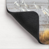 Sandhill Cranes, Bosque del Apache Postcard Mousepad (Ecke)