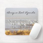 Sandhill Cranes, Bosque del Apache Postcard Mousepad (Mit Mouse)