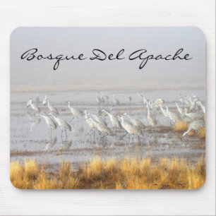 Sandhill Cranes, Bosque del Apache Postcard Mousepad