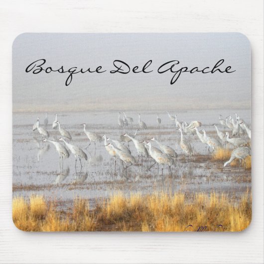 Sandhill Cranes, Bosque del Apache Postcard Mousepad (Vorne)