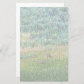 Sandhill Cranes Briefpapier (Vorne/Hinten)