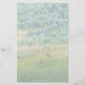 Sandhill Cranes Briefpapier (Vorderseite)