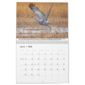 Sandhill Cranes Calendar Kalender (Mär 2026)