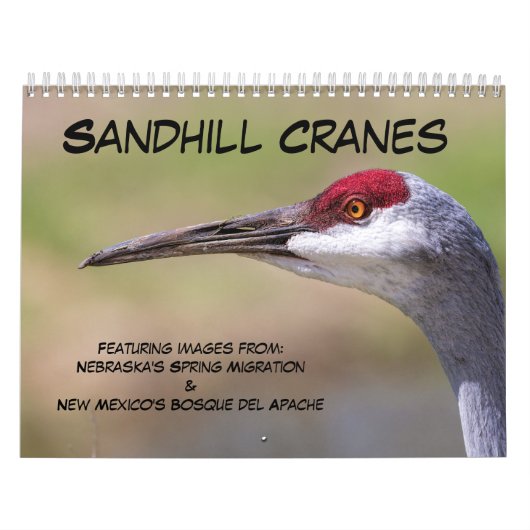 Sandhill Cranes Calendar Kalender (Titelbild)