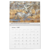 Sandhill Cranes Calendar Kalender (Jan 2027)